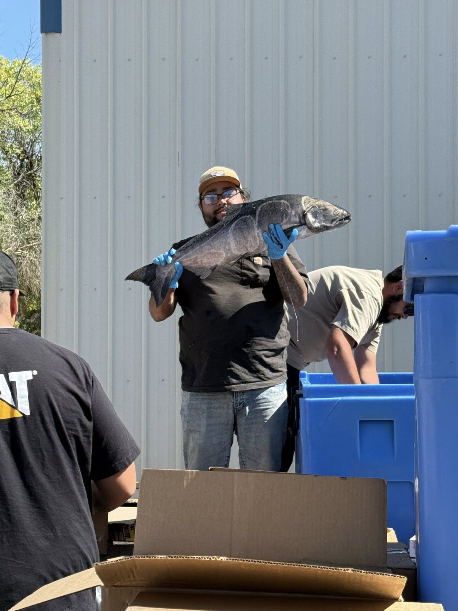 Featured image for “Salmon Distribution a Success”