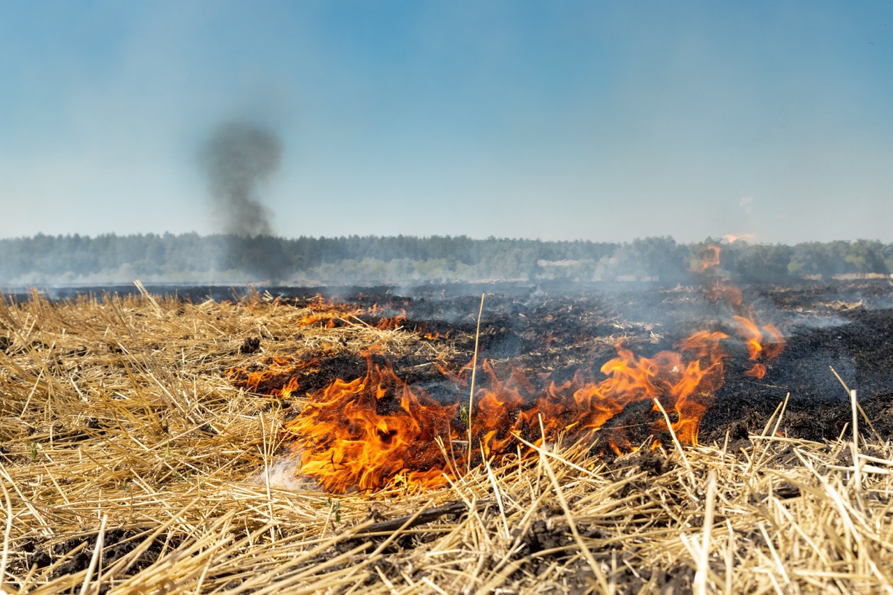 Featured image for “FHBC enacts Burn Ban for Fort Hall Reservation effective June 1”
